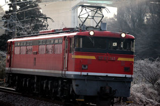 rie10241.jpg