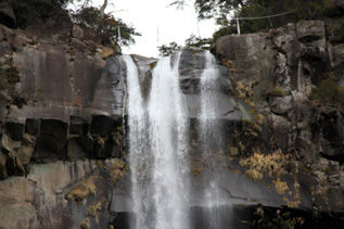 rie3221.jpg