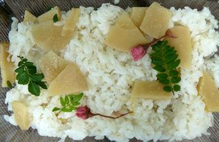rie12883.jpg