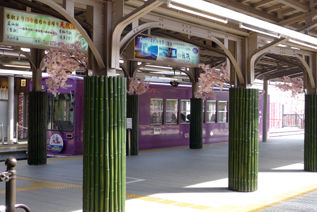 rie17229