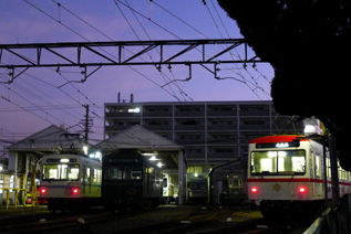 rie16247