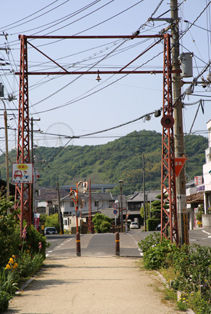 rie17677