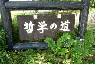 rie15881