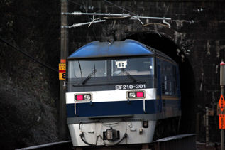 rie10239.jpg