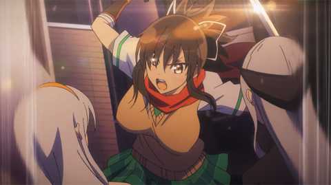 閃乱カグラSHINOVIMASTER