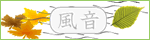 kazaoto