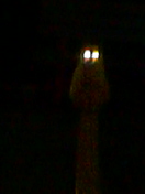 041024_2312~01.jpg