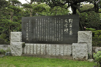 Nogiku3