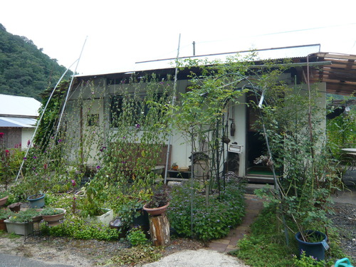 P1030525