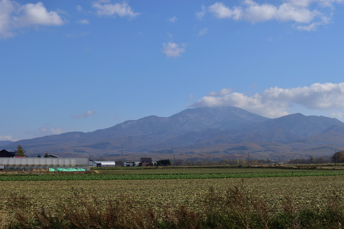 DSC_0147_00001