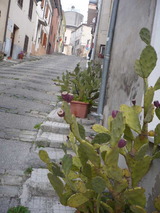 P1020081