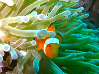 csb04