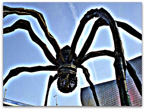 spider
