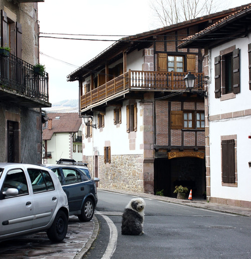 IMG_3120 copia