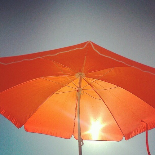 parasol