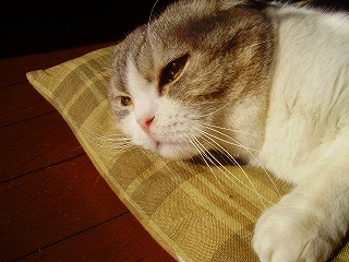 07d69e9c.jpg
