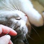 53316a5a.jpg