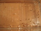 643e565f.jpg