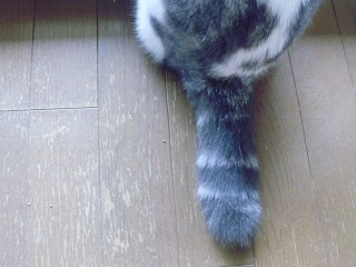 741c697f.jpg