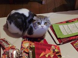 a0526bd6.jpg