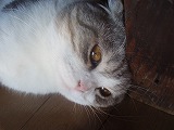 b66ddc02.jpg