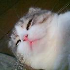 c8af8469.jpg