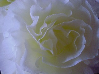d778ceb0.jpg