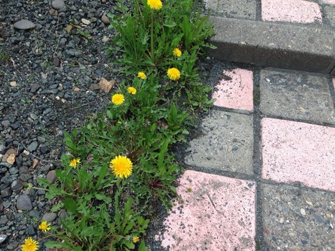 がんサロン ②