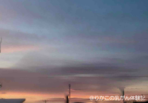 2019/01/23　朝　①