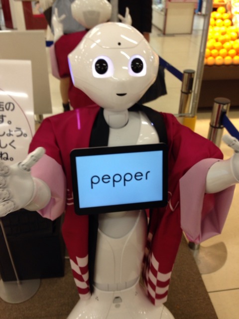 ペッパーくん
