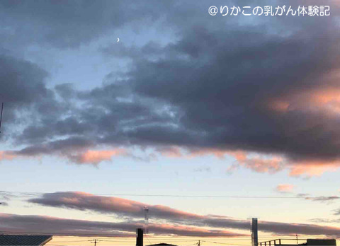 2018/11/14 夕刻
