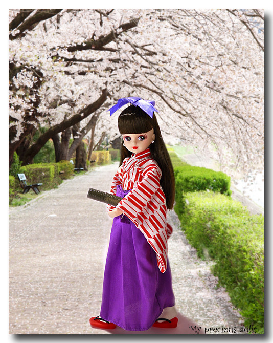 sakura01-3