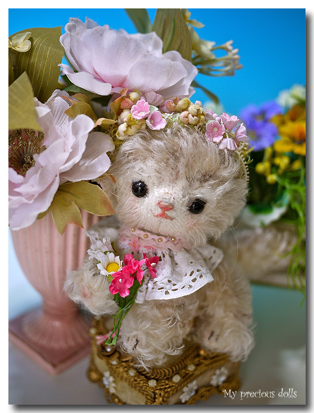 sugar8