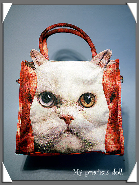 catbag2
