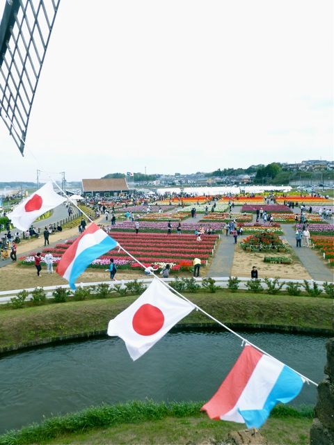 P1000038_3
