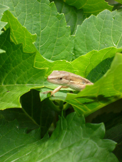 2c8fa082.jpg