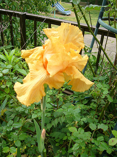 38e6ea94.jpg