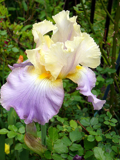89a8fd04.jpg