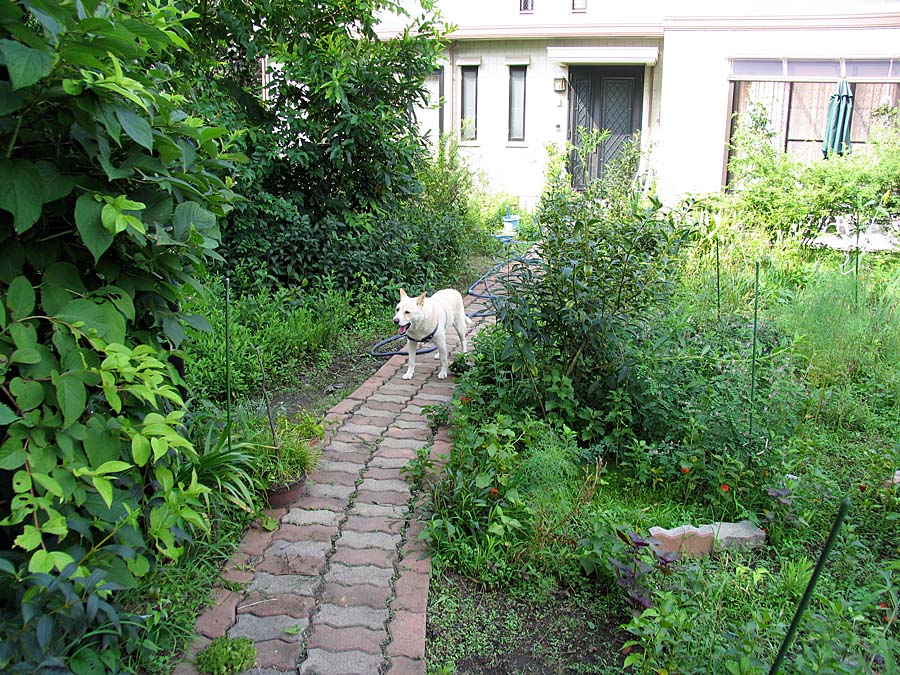 IMG_050822aa