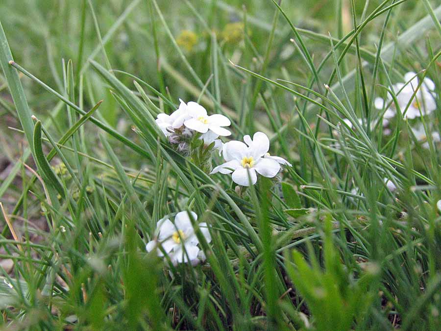 IMG_3194aa