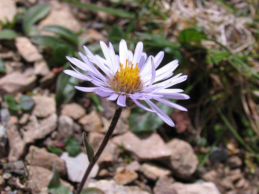 zzIMG_7263