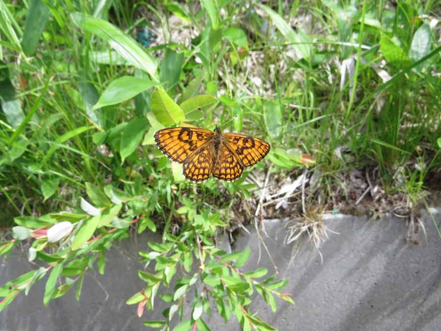 zzIMG_2376