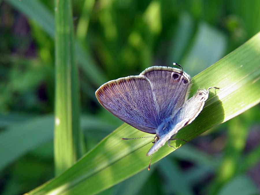 P9250020aa