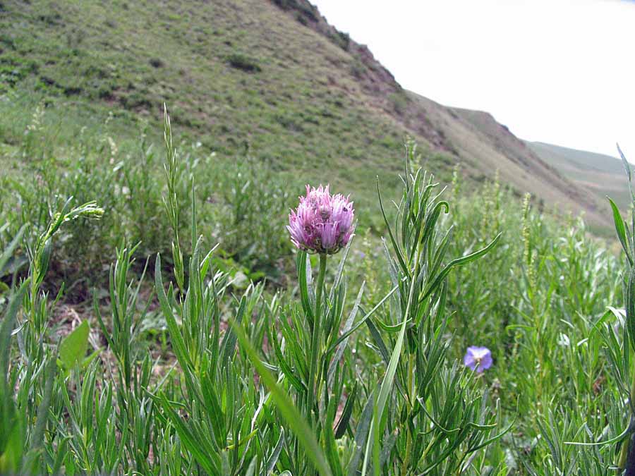 IMG_3533aa