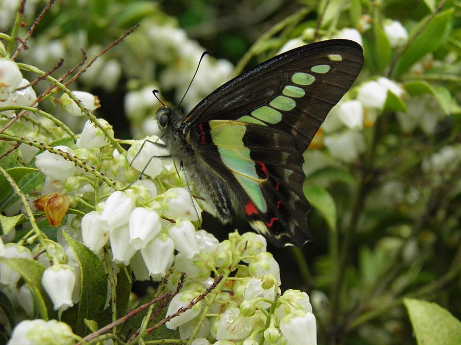 20110507¥¢¥ª¥¹¥¸