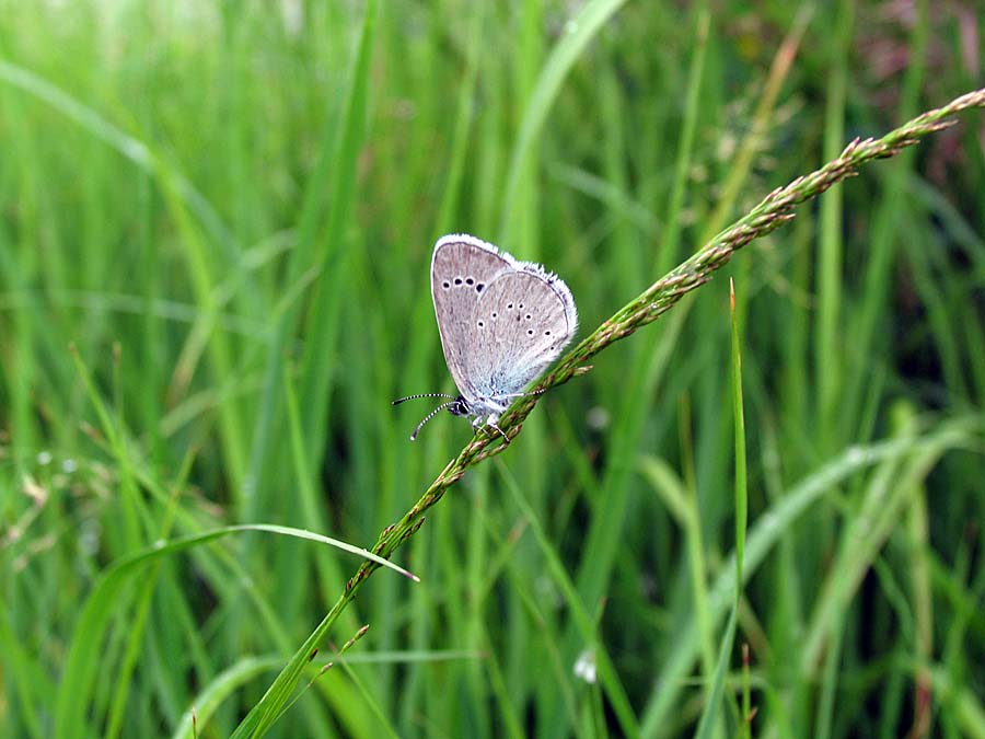 IMG_4649aa