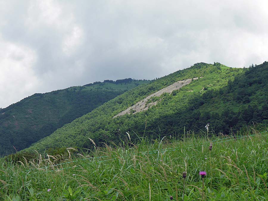 P8050101aa