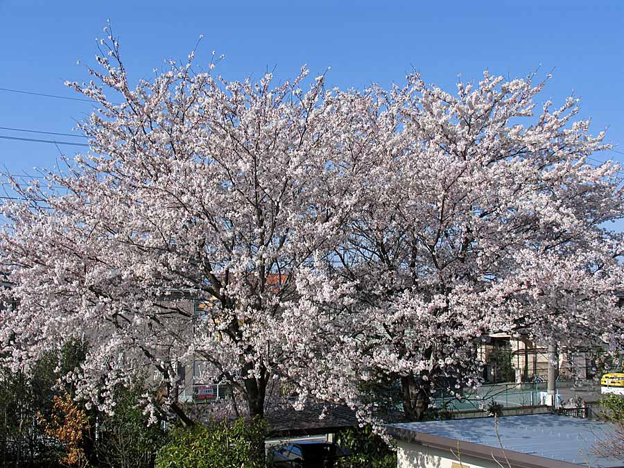IMG_5469aa