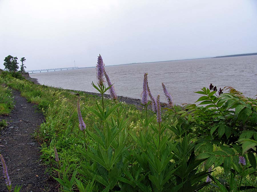 IMG_4567aa