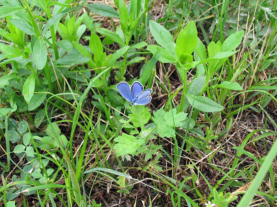 IMG_1549aa